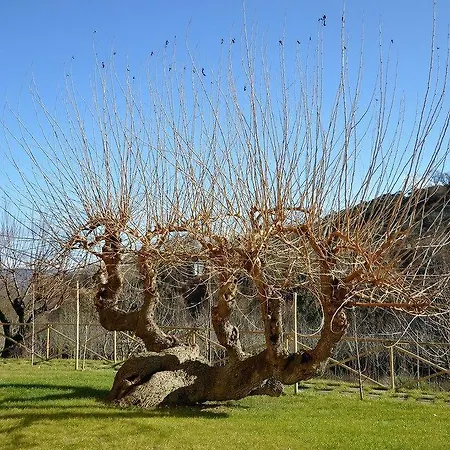Bauernhof I Gelsi Di Santa Cristina *